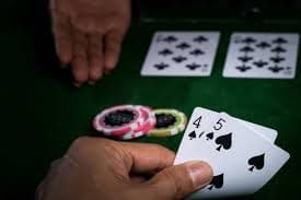 bingoplus